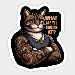 What Are You Looking At meme Tabby Cat Sticker